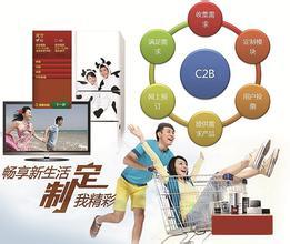 家電定制 撬動家用電器互聯(lián)網(wǎng)銷售的個性化營銷新引擎